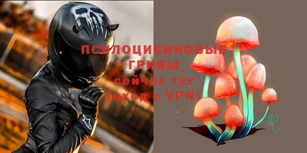 гашик Зеленодольск