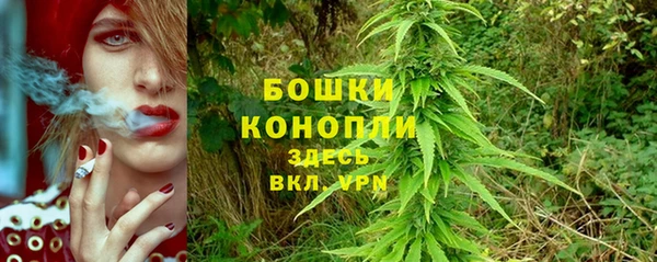 гашик Зеленодольск