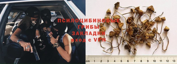 прущая мука Зеленокумск