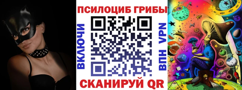 Псилоцибиновые грибы Cubensis  Купить  Чудово 